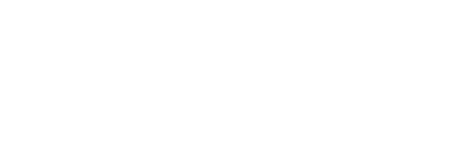 Leontic High School